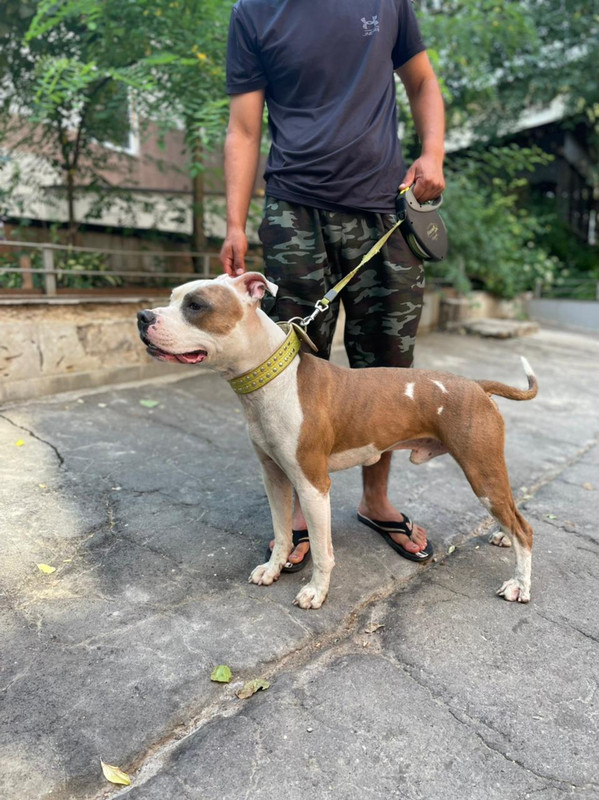 WhatsApp Image 2022-08-05 at 14.54.00 (1)