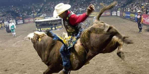 [Imagem: bull-riding.jpg]