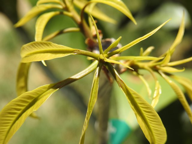 3C502DF6-BC58-45B8-8A7A-DDDD95D01BDB