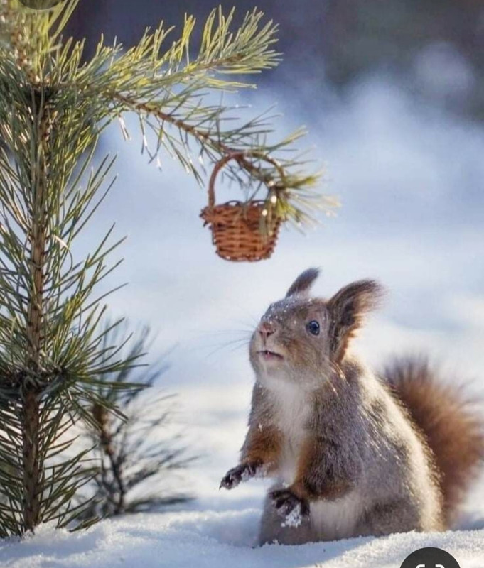 Screenshot_20231205_195338_Pinterest