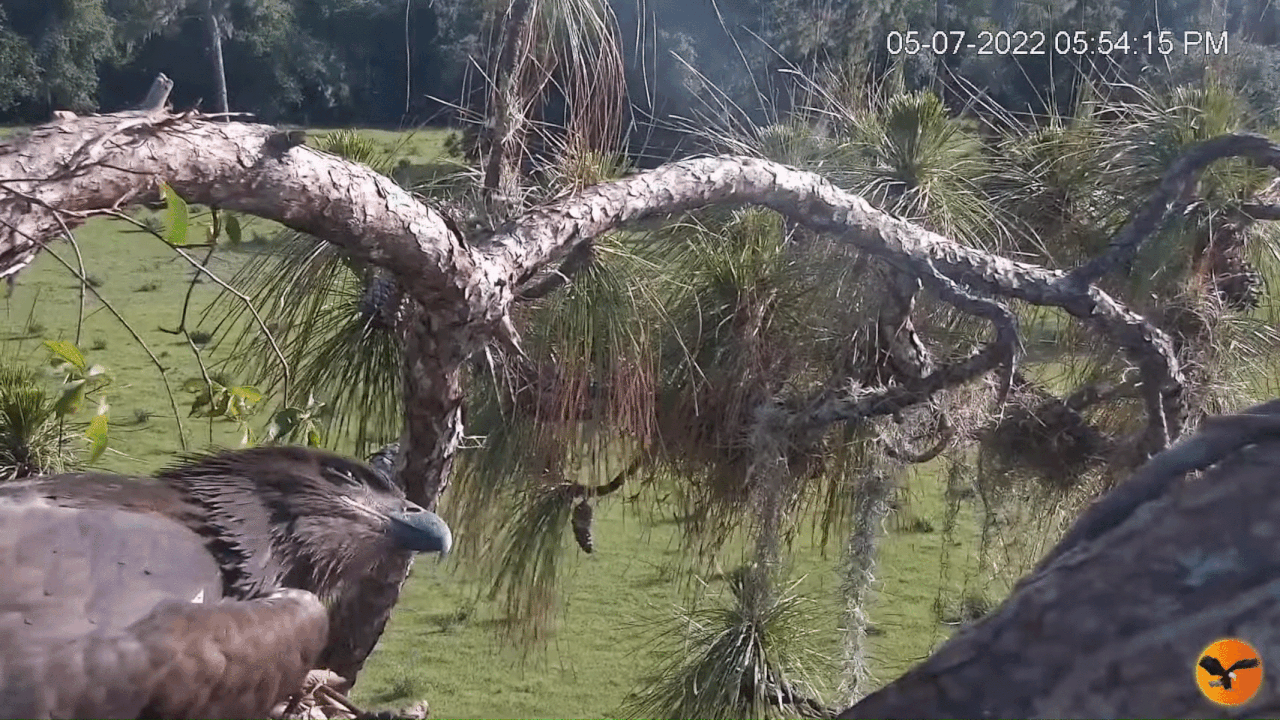 Webp.net-gifmaker (2)