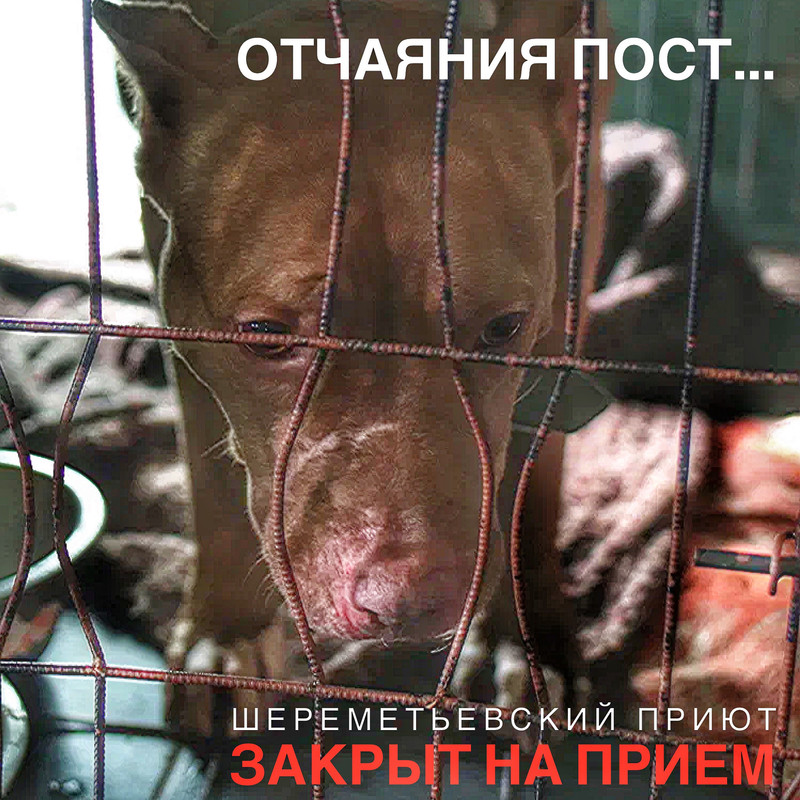 B6DE50FE-B435-4671-9A91-0F3D44B91A35