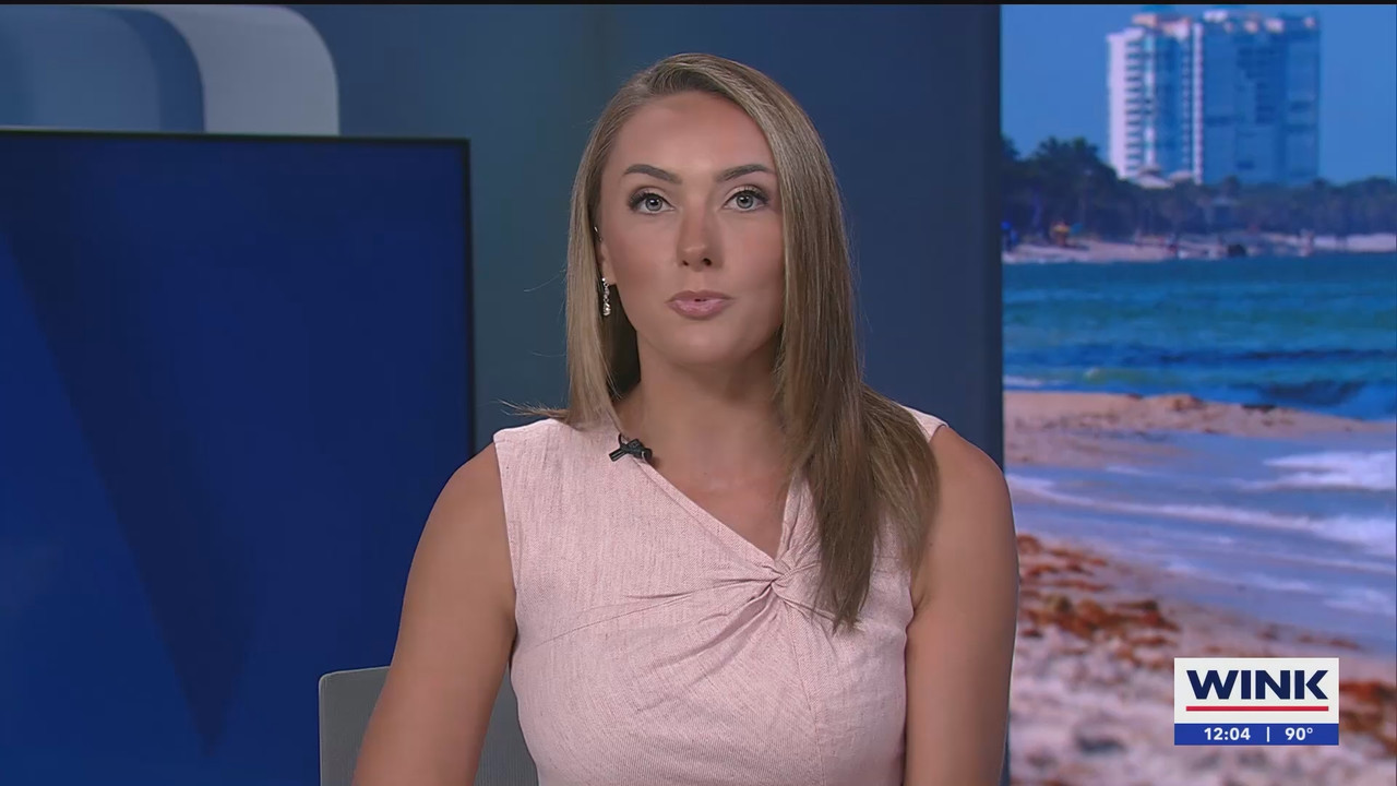 08.13 - 17.00.00 - The WINK Noon News  ᴺᵉʷ. Midday news update..ts_snapshot_10.57.566