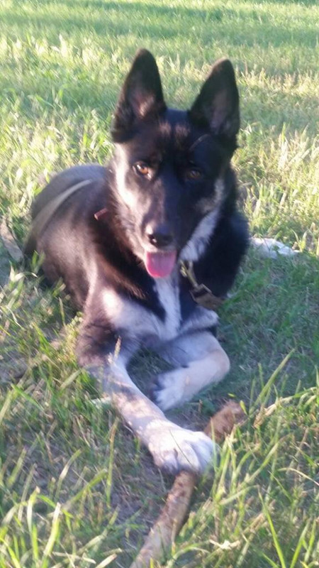 изображение_viber_2019-07-13_19-18-т