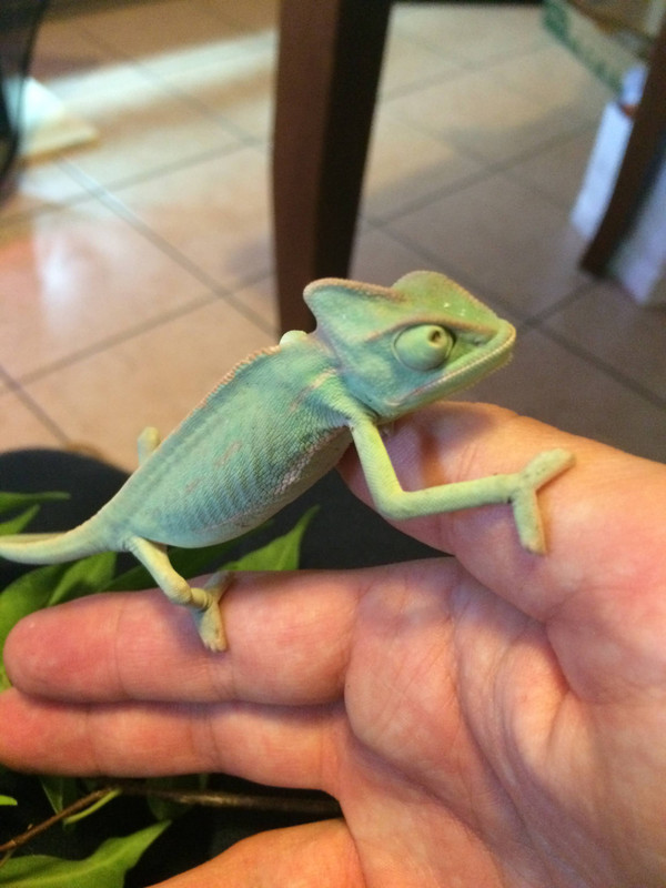 561B3440-CEC2-422F-A6D3-67C44D9C38F5