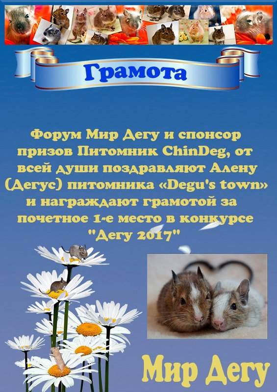 1 место