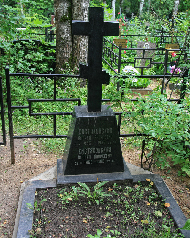 Кистяковский А.А