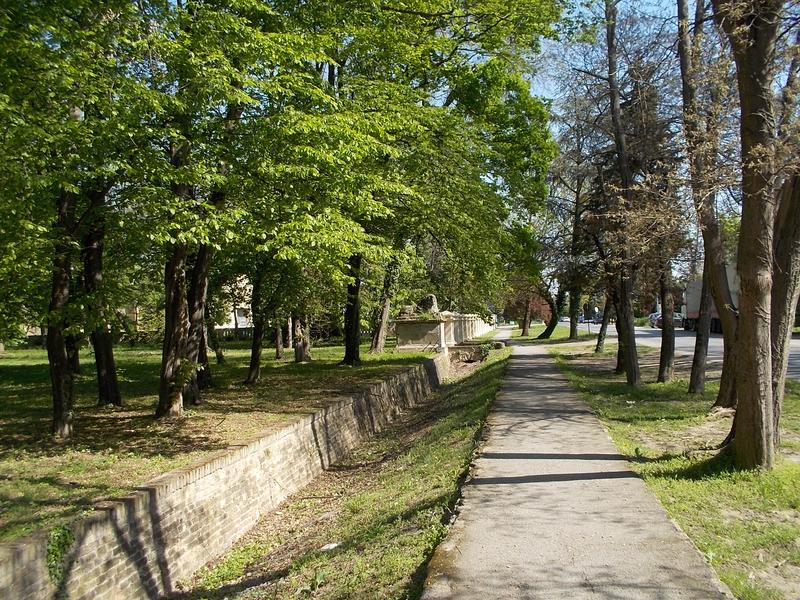 Slika