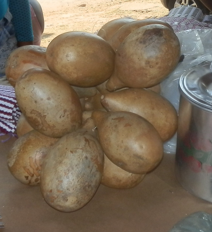 Cabaça dos Kalungas