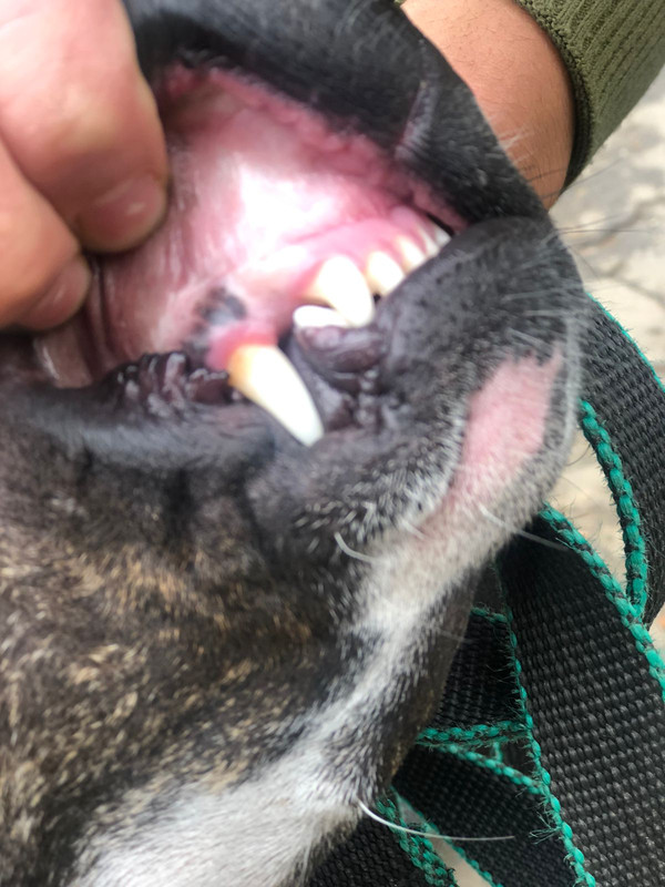 WhatsApp Image 2022-09-12 at 13.47.27 (1)