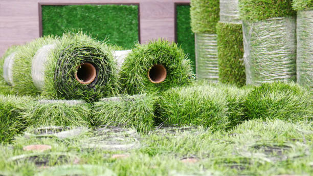 Wholesale Sod Tampa
