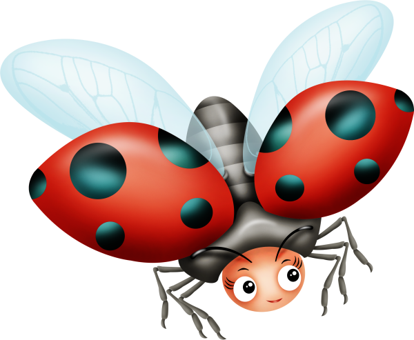 Beetle dance8