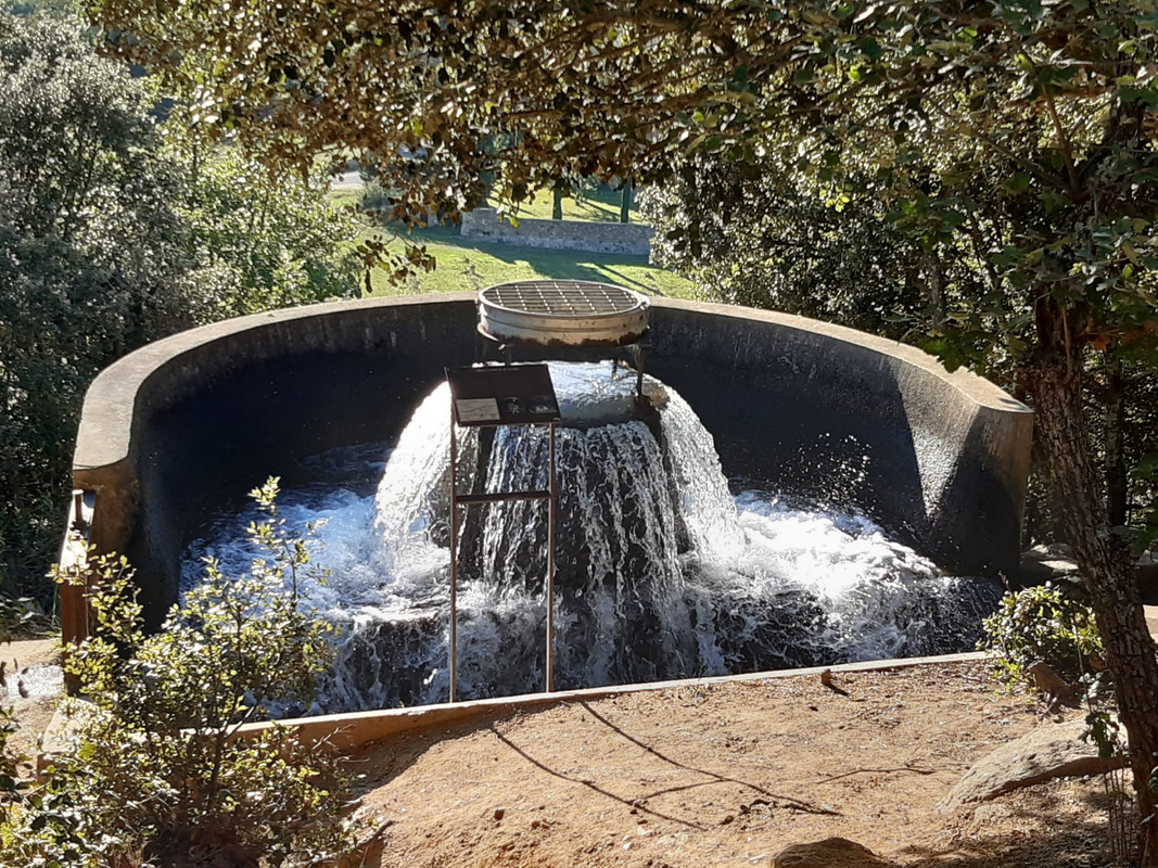 Photo de FRISERANDO(1)