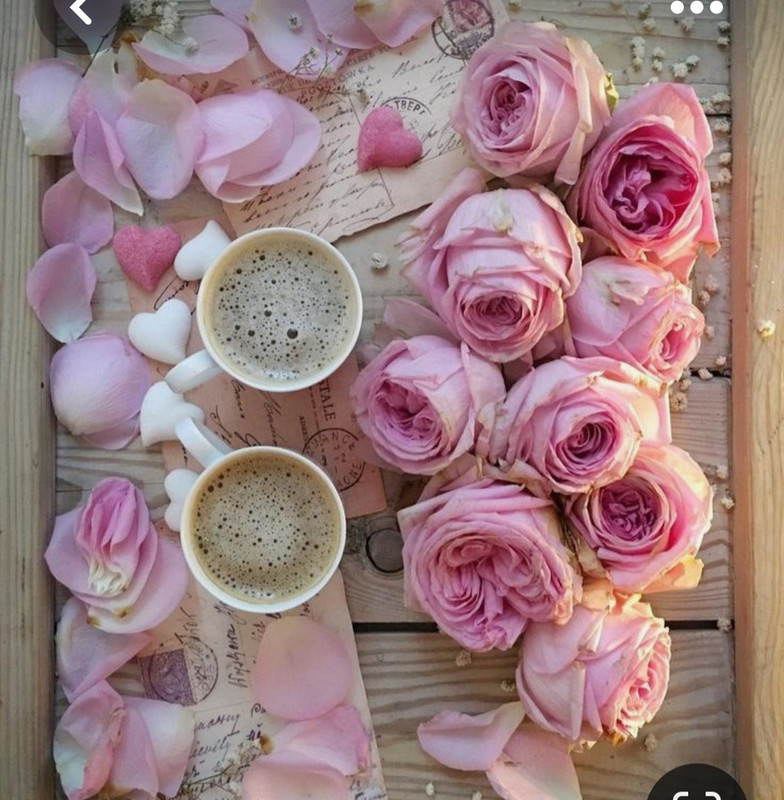 Screenshot_20230528_212254_Pinterest