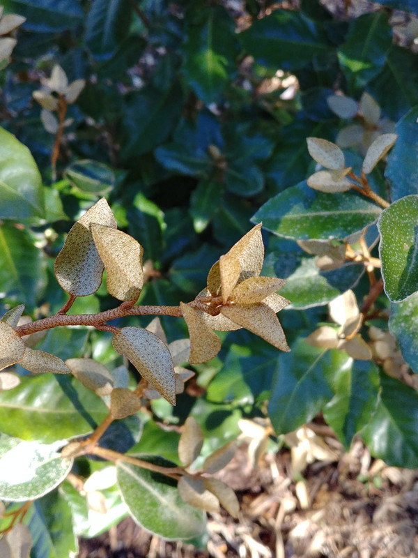 d198fa4f 09ed 4961 803c 90229e2b0e4d