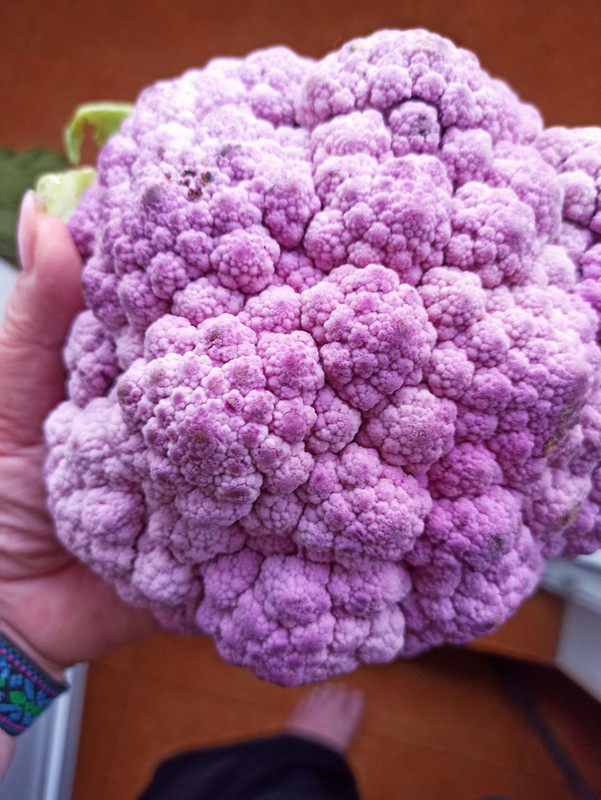 d8631e05-f11b-4450-b584-0397c4c39c8f