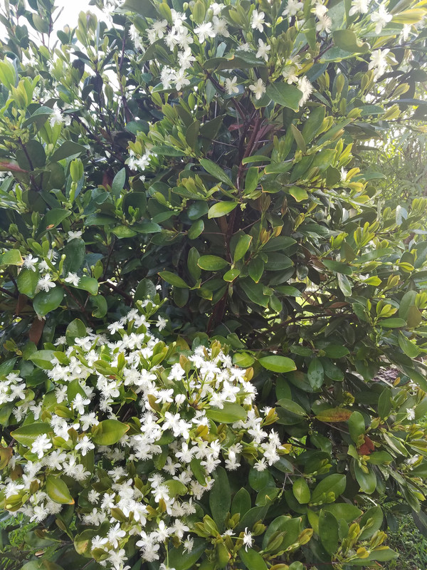20180422_072607