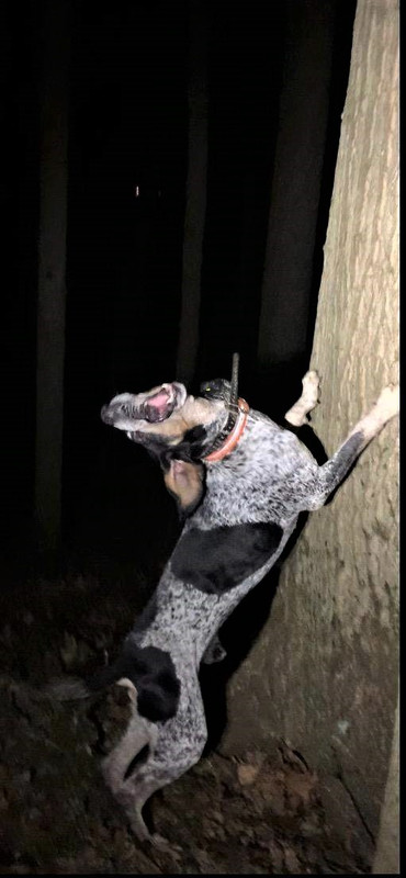 Resized_IMG954248 (1)