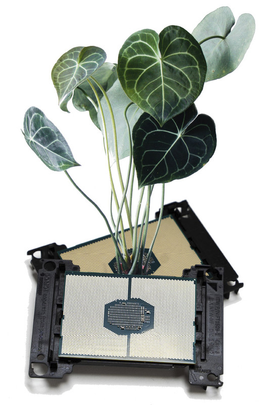 Planta tecnológica