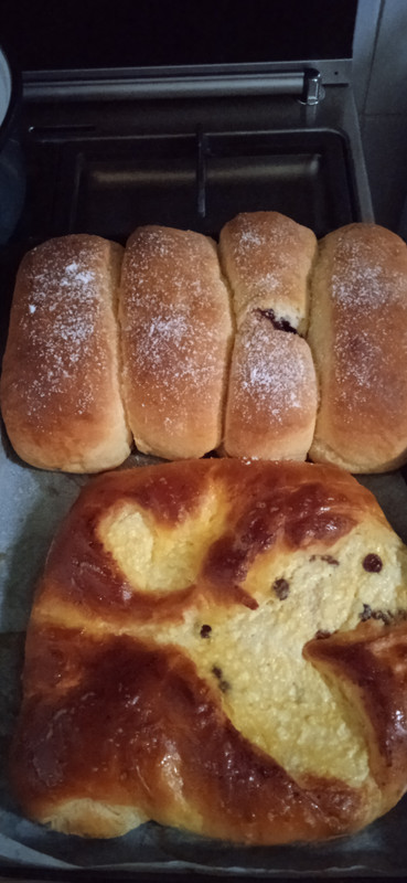 IMG_20230117_131013[1]