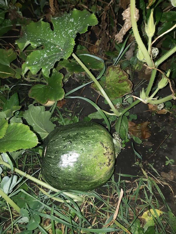 20230919_161751