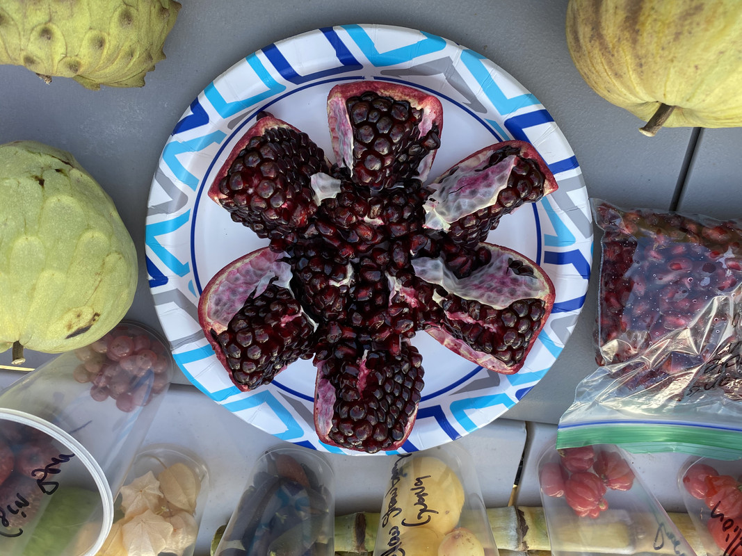 79F2475D-54C1-4CB4-926C-9401D3410581