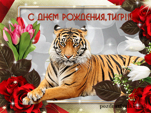 IMG-5579.gif