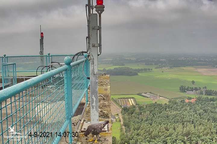 campics vanaf 1 juli © VWGGemert en bonusjes van ter plekke - Pagina 23 2