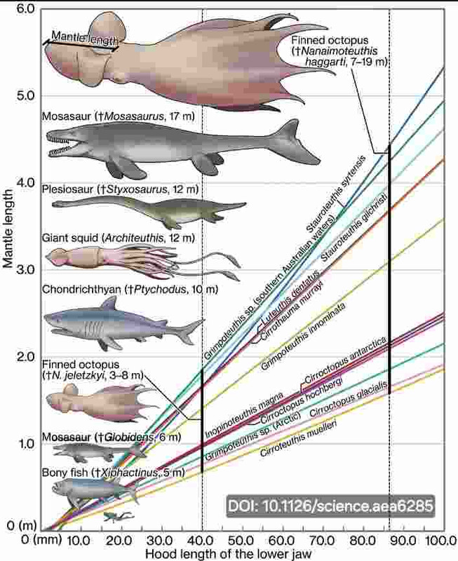 popot alat kraken(1) copy 707x866
