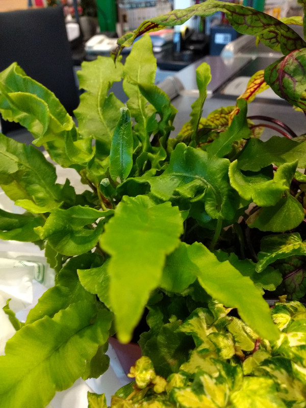 IMG_20191114_154322958