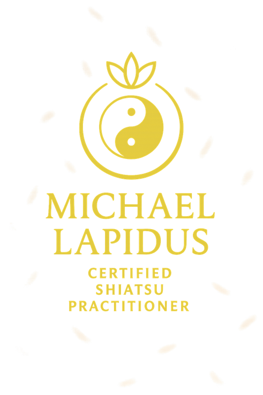 Michael Lapidus — לוגו