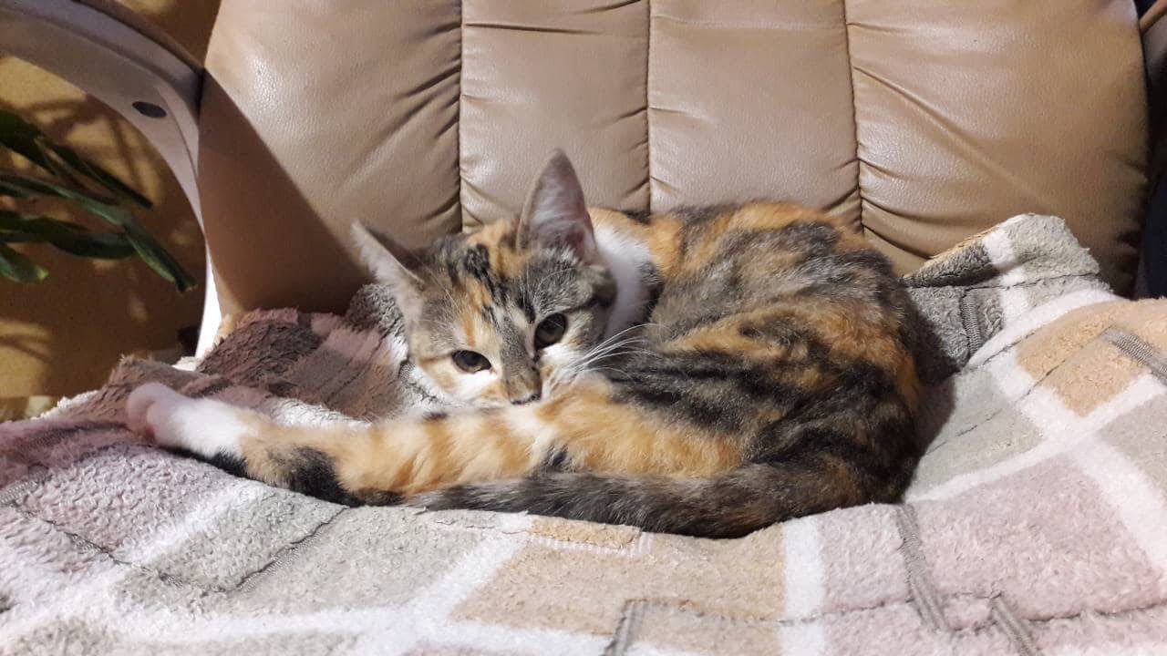 34907776_1327113657422585_711030740636139520_n