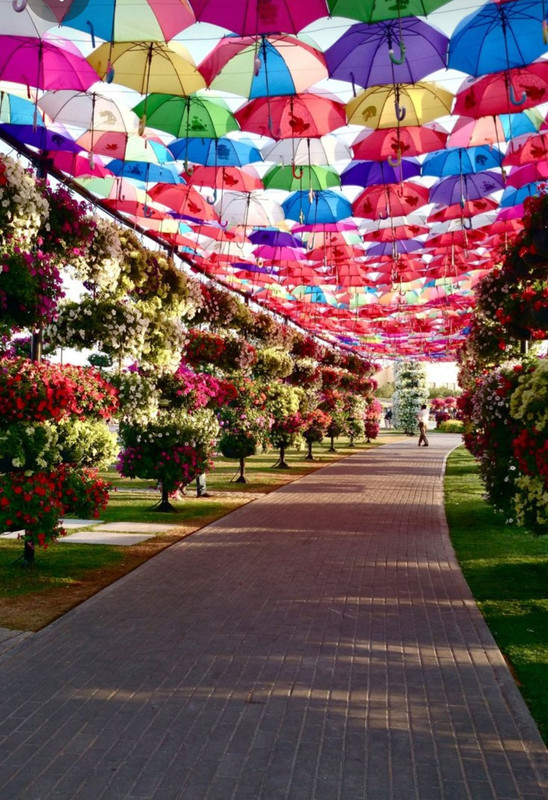 Screenshot_20230327_223000_Pinterest