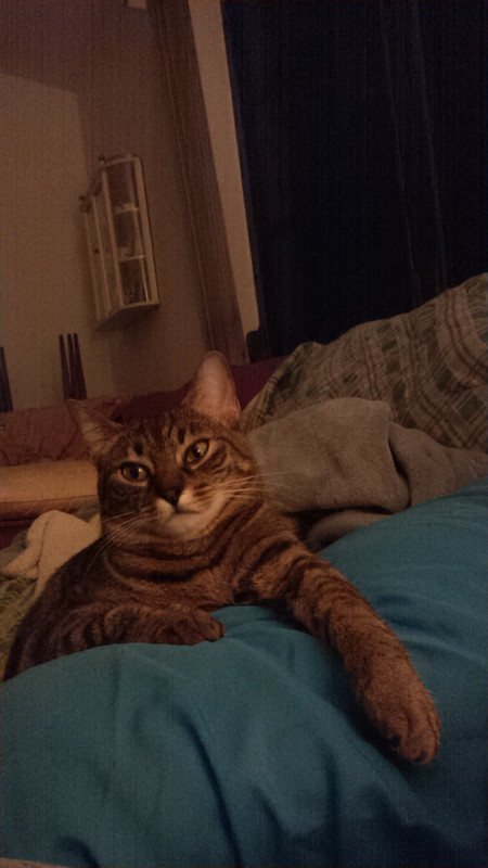 IMG_20151202_014127187