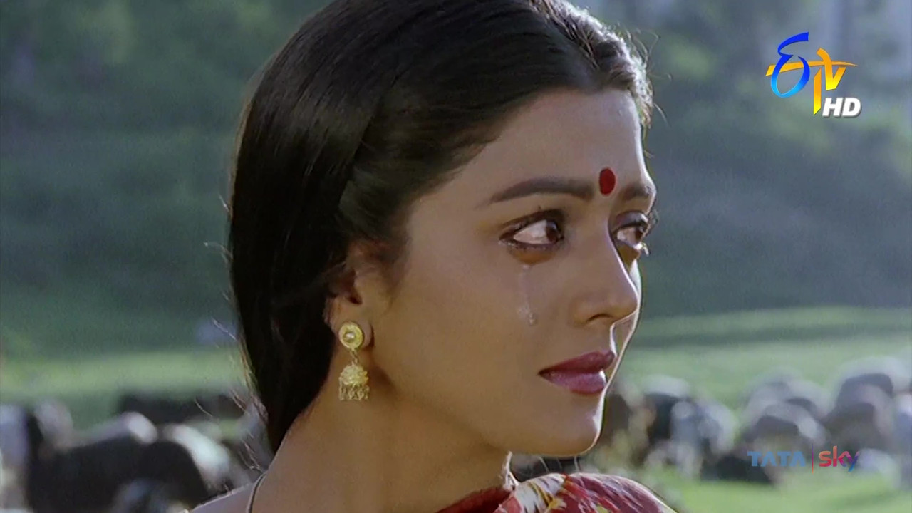 vlcsnap-2021-04-22-15h24m51s218