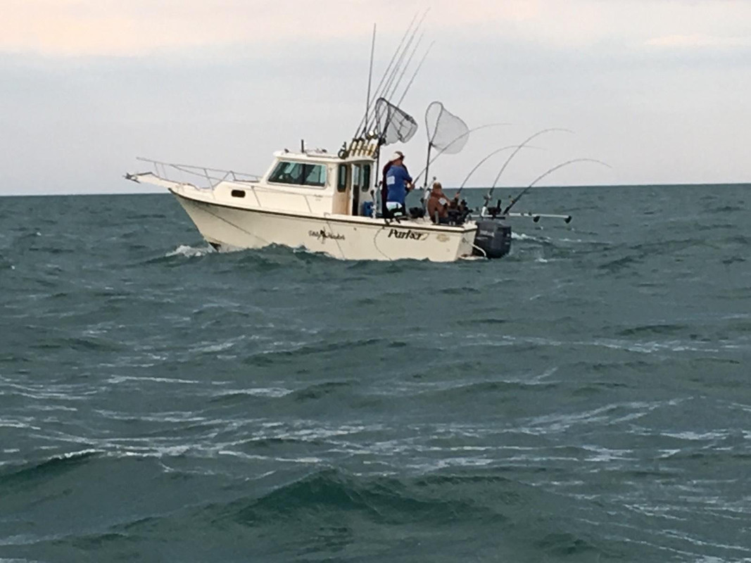 B8FD1C91-A713-4EF3-B975-ED7B36E325C4