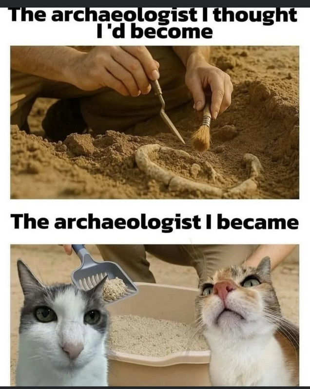 upload 2025 12 22 8 5 58