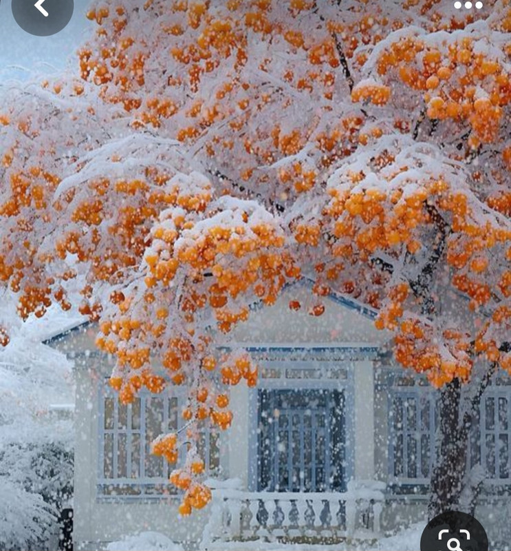 Screenshot_20231219_172326_Pinterest