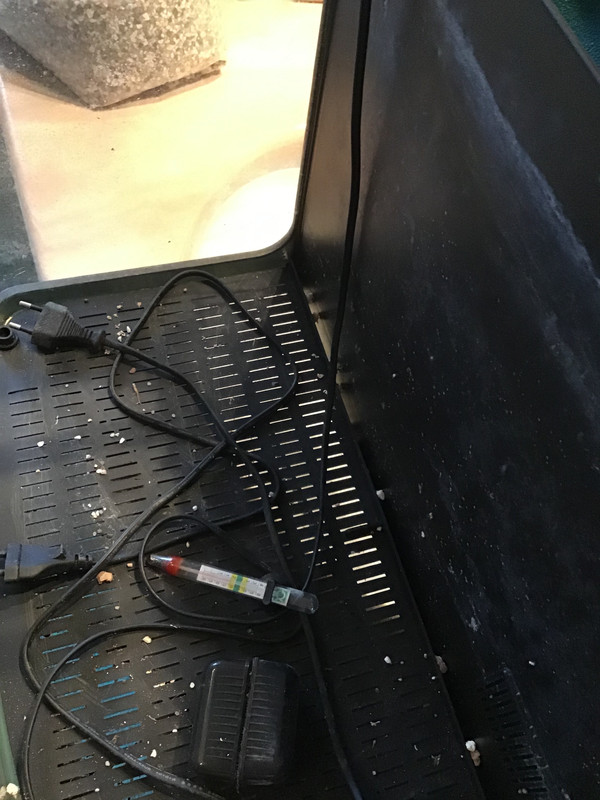 9EB894E7-9A7F-4440-B16F-6F9E7F8492AA