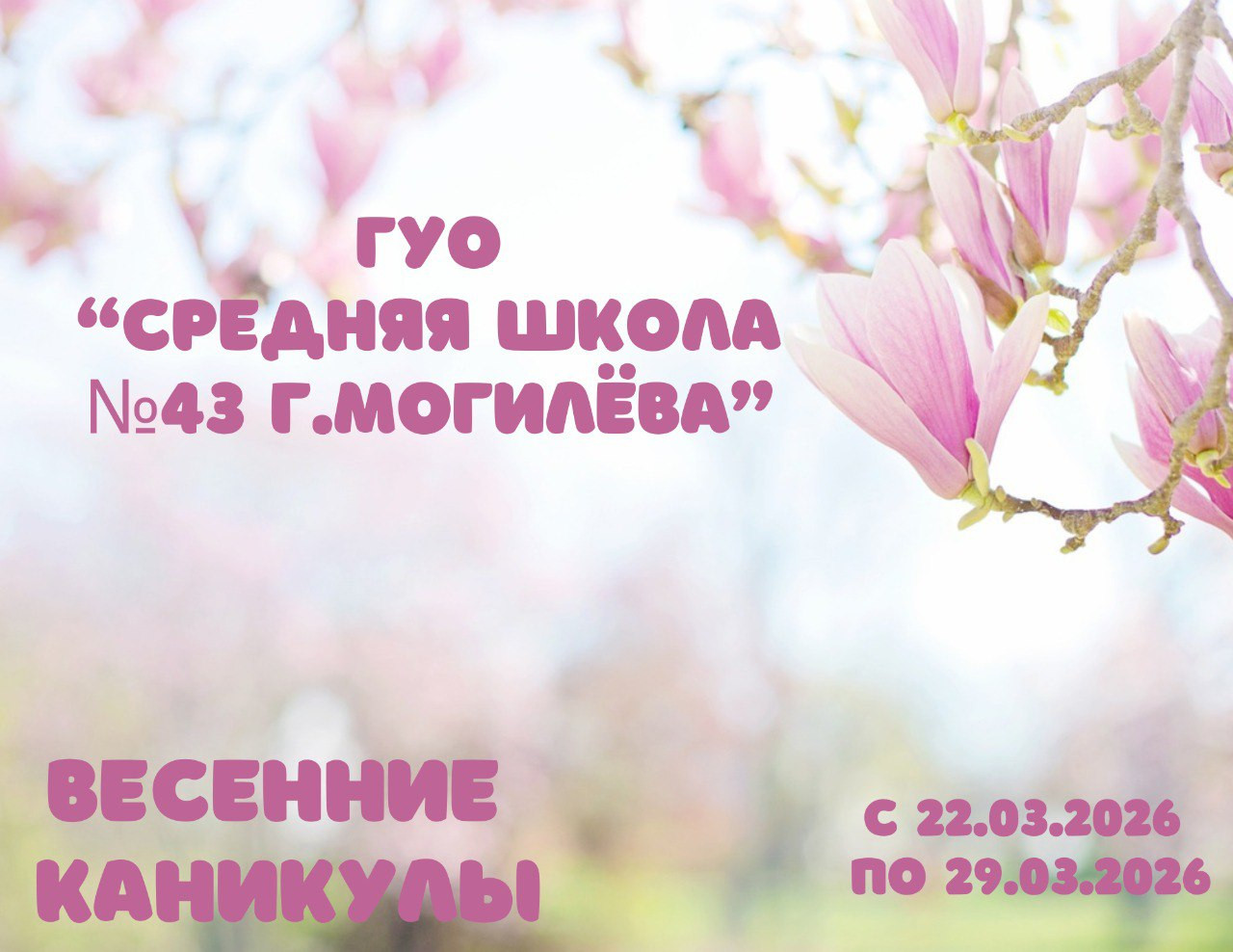 photo-2026-03-19-15-40-07