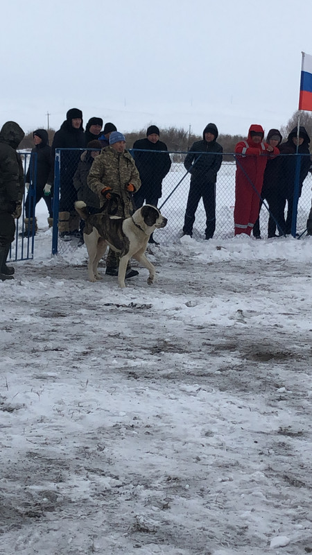 00566BE9-62AC-4C66-825C-6FD565B66862