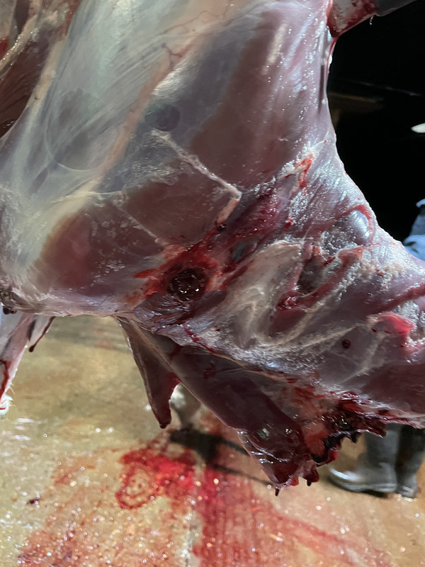 C5AB3D01-0380-4209-987F-0612C1911CFC