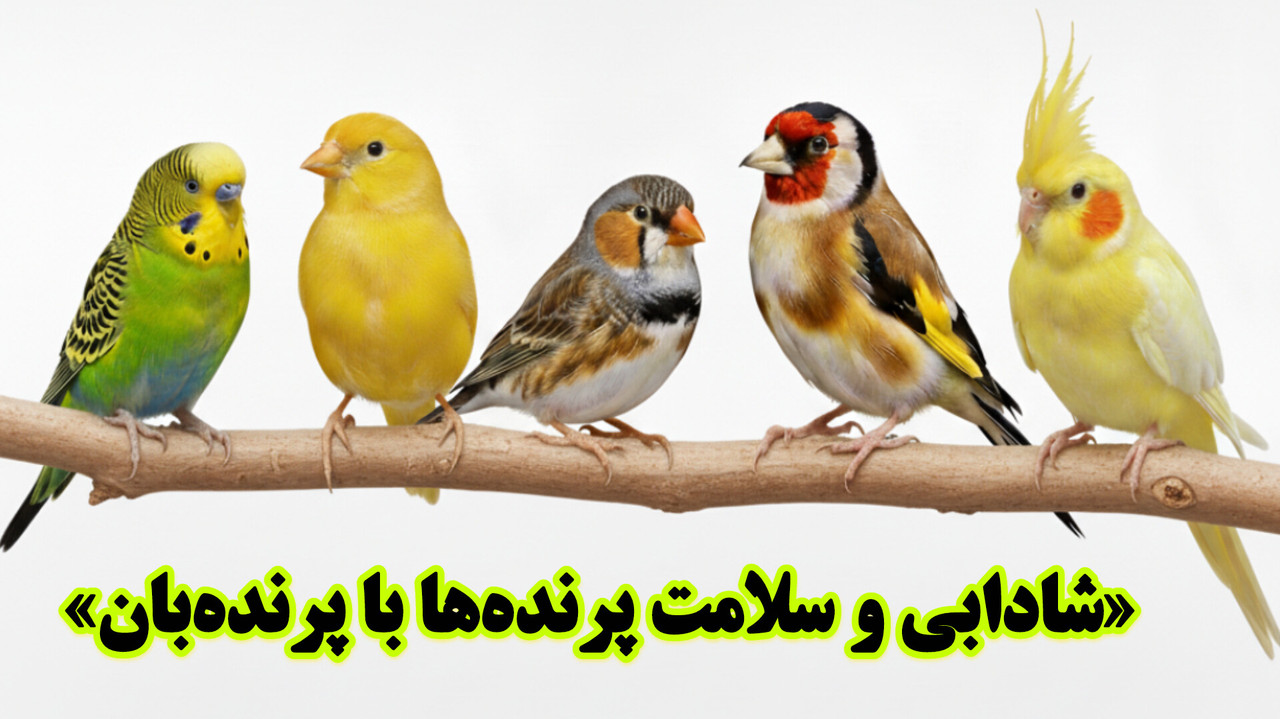 InShot_۲۰۲۵۱۰۱۳_۱۸۵۷۰۳۷۳۰