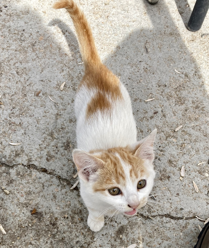 A603D3C8-9263-4659-9194-63A8843597EB