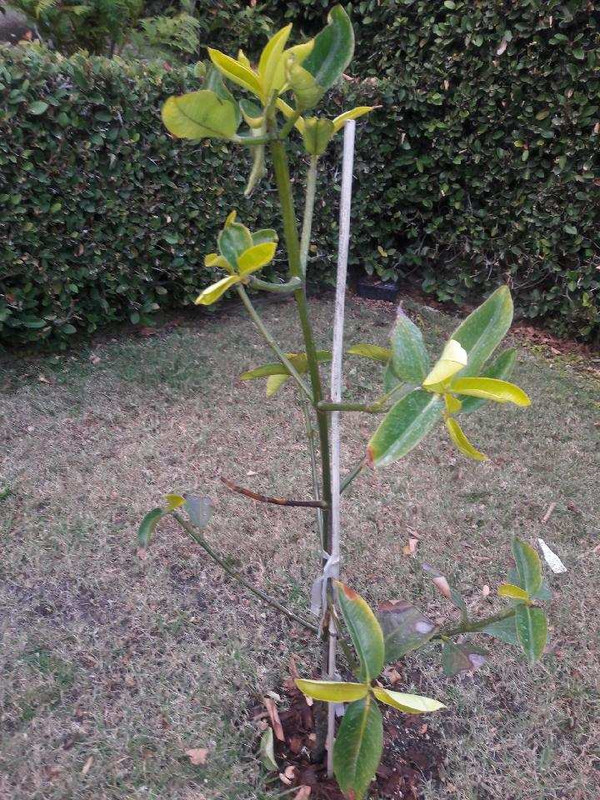 20181110_161005_1541895164593