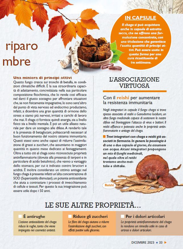 Sal Nat Dic 2023 (4)