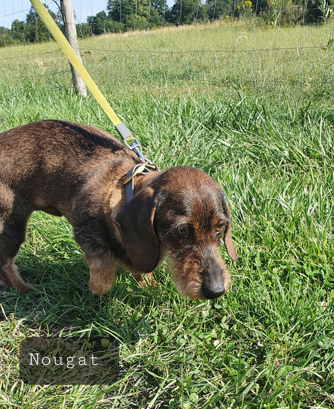 [Image: 20230707-074226.jpg]