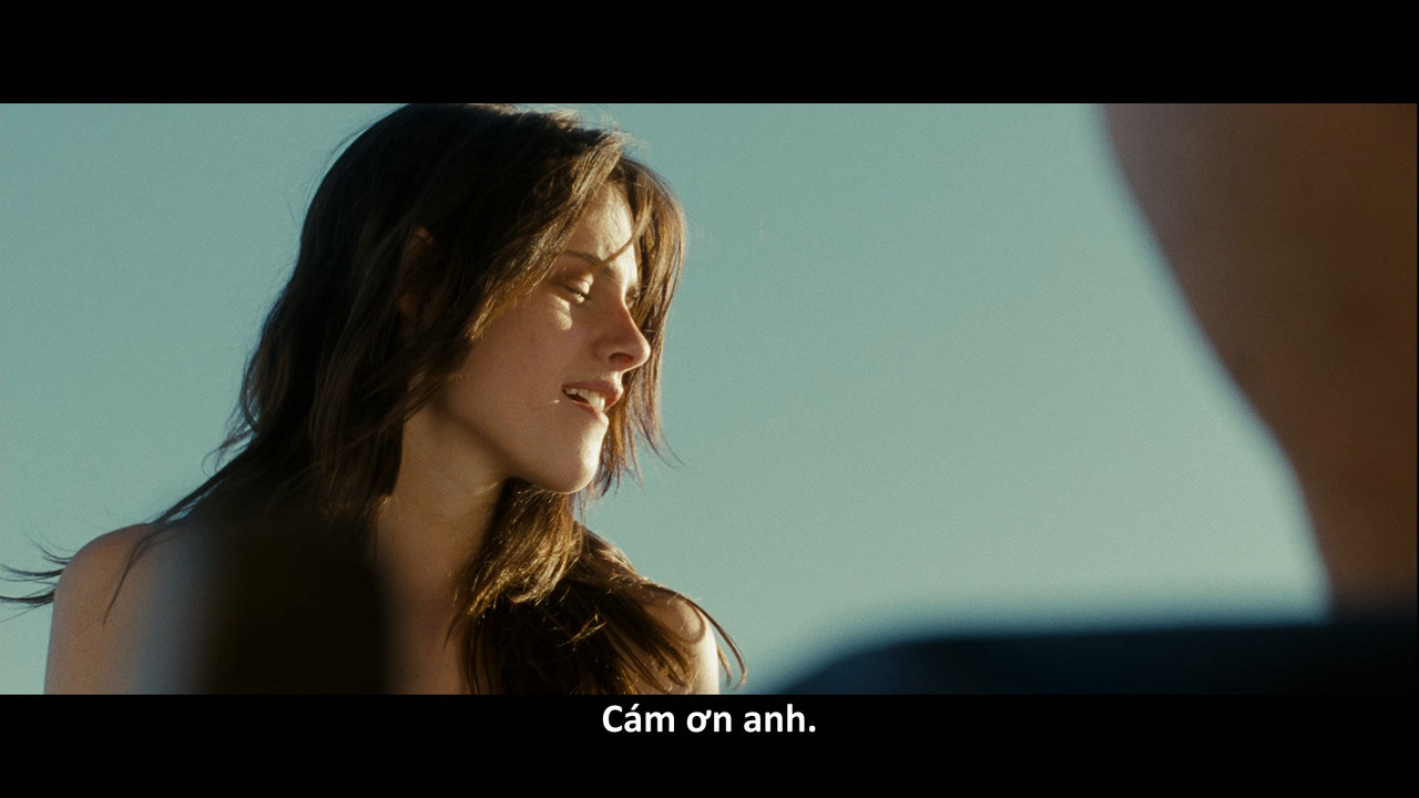 (Vietsub) Into the Wild 2007 1080p Bluray REMUX VC-1 TrueHD 5.1-NM21vi.mkv_snapshot_01.34.42.833