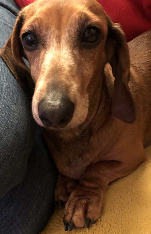 [Image: IMG-3024.jpg]