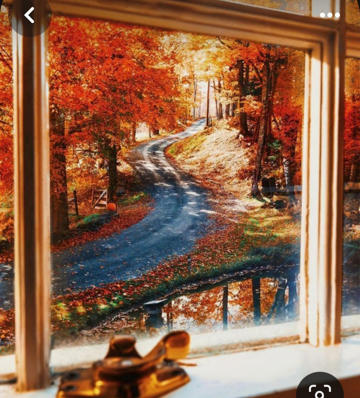 Screenshot_20231201_001515_Pinterest